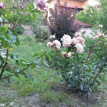 Casa de hóspedes Sunny House *